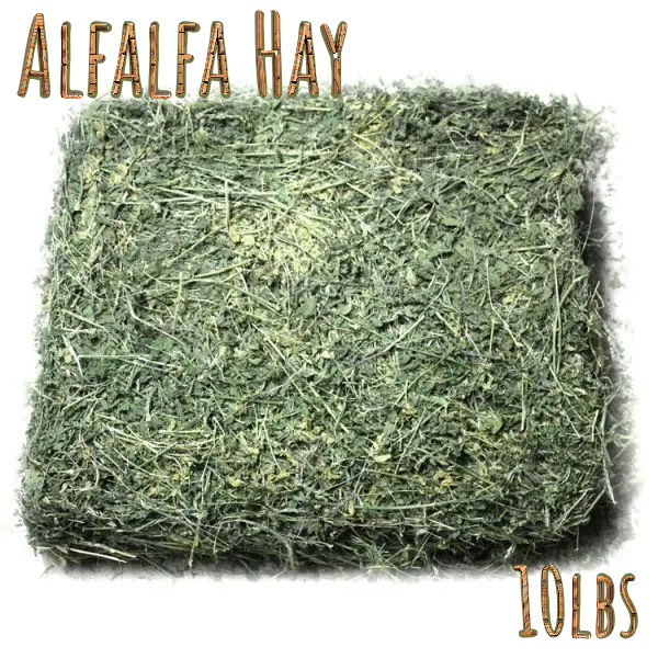 Bale of alfalfa hay with 'Alfalfa Hay' text and weight '10 lbs' on a white background