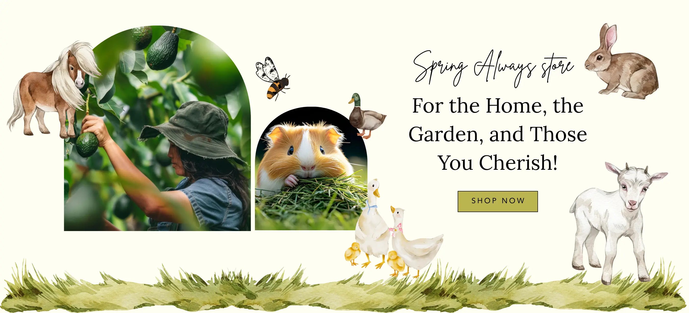 Home Page Banner