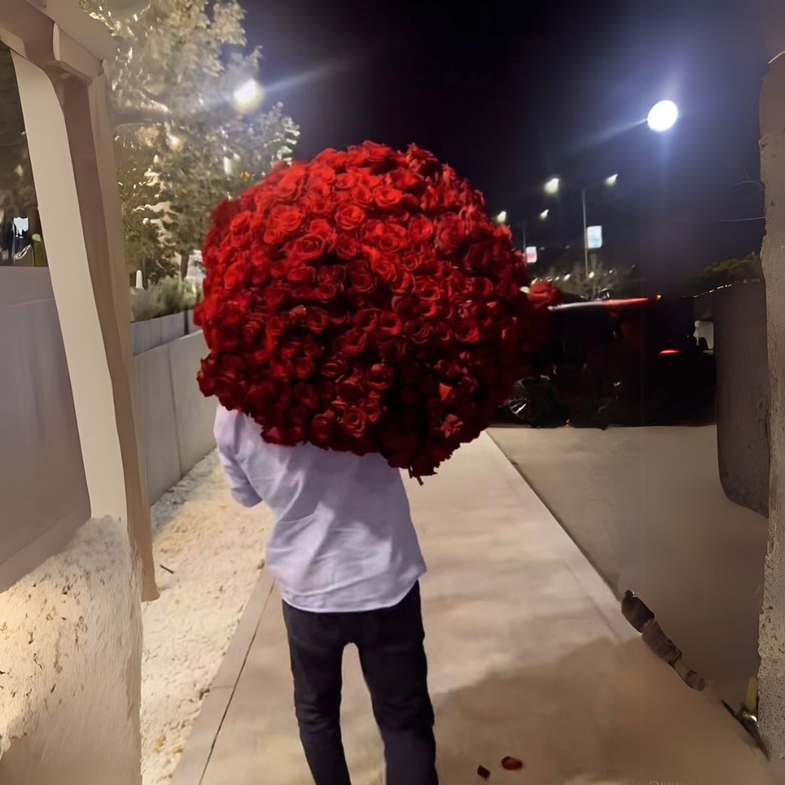 Red Preserved Roses