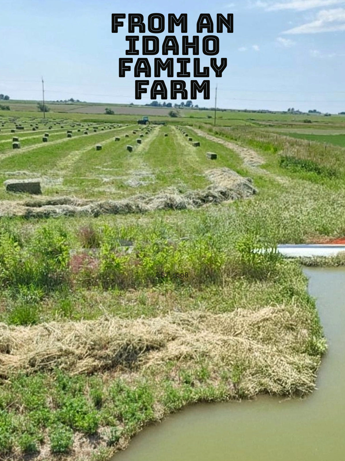 Timothy Hay for Rabbits & Small Pets 10 lbs