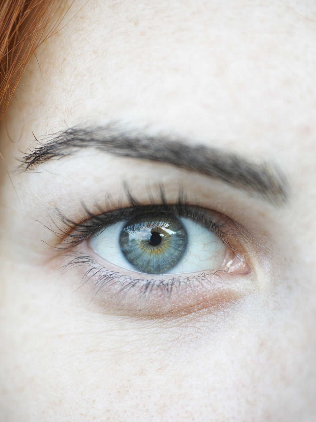 Get More Longer & Healthier Lashes With The Lash Supplies By Spring Always