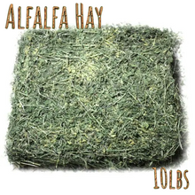Load image into Gallery viewer, Alfalfa Hay for Rabbits &amp; Small Pets 10 lbs