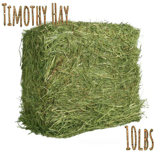 Bale of Timothy Hay with weight label on a white background