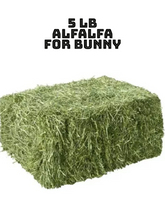 Load image into Gallery viewer, Alfalfa Hay for Rabbits &amp; Small Pets 5 lbs