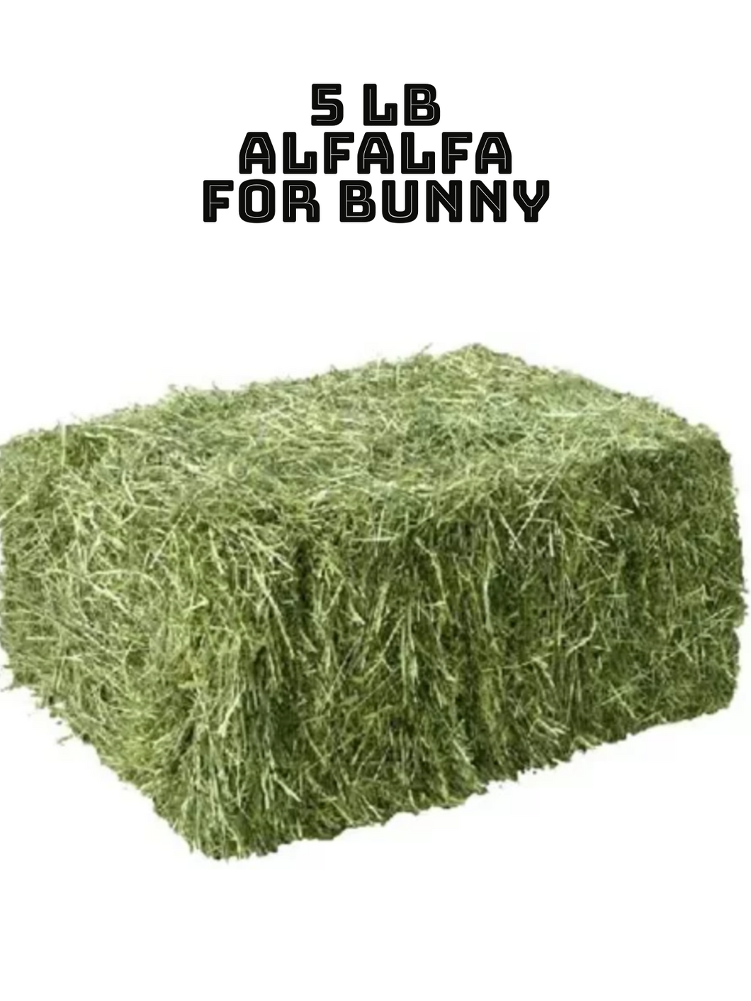 Alfalfa Hay for Rabbits & Small Pets 5 lbs