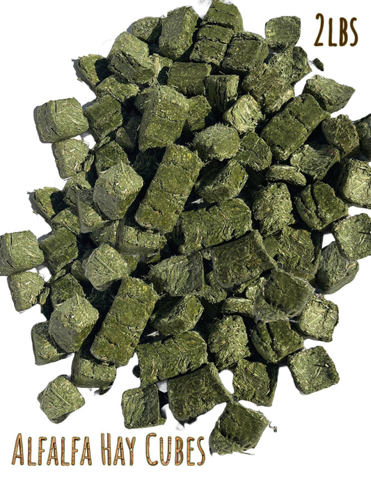 Alfalfa Hay Cubes Premium Alfalfa Cubes for Hamster, Rabbit, Guinea Pig 2 lb