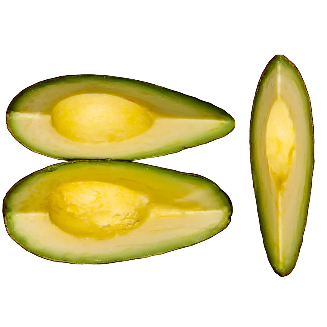 Fuerte Avocado Tree 15 Gallon