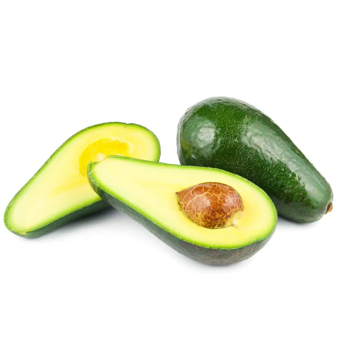 Fuerte Avocado Tree 5 Gallon