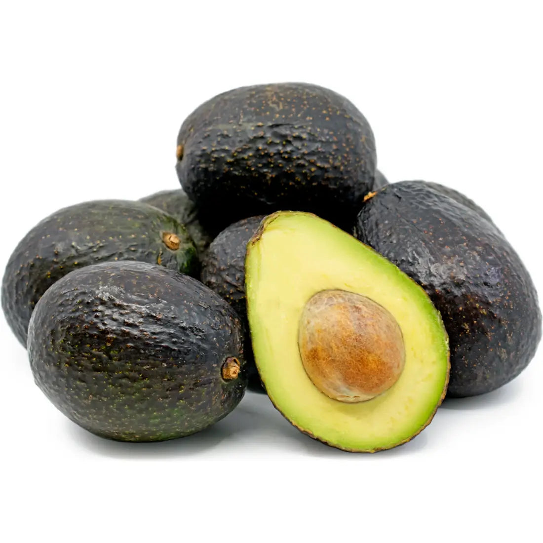 Hass Avocado Tree 15 Gallon