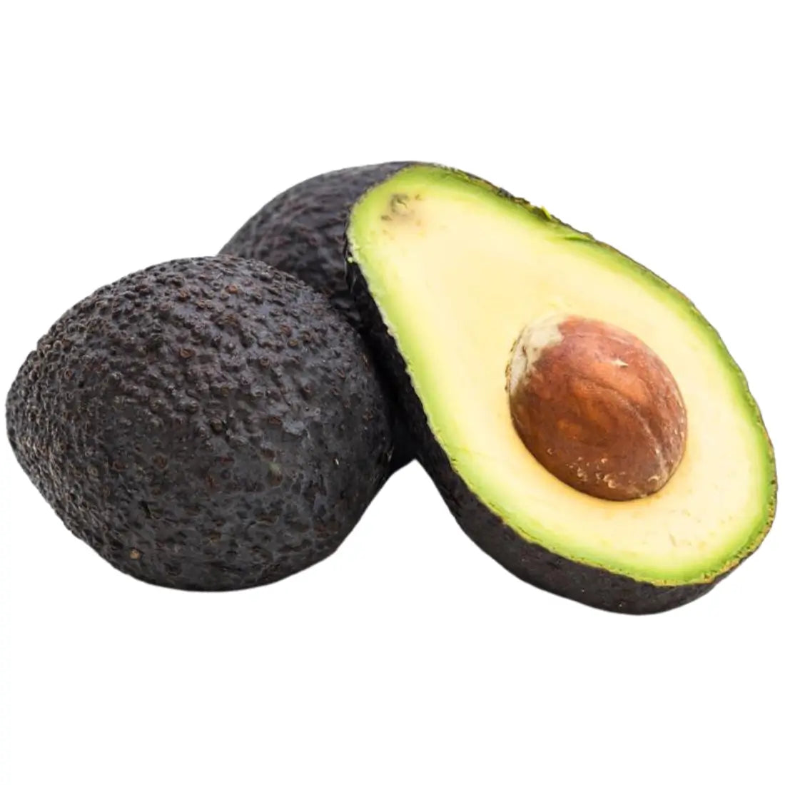 Lamb Hass Avocado Tree 24 Gallon