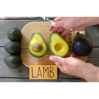Lamb Hass Avocado