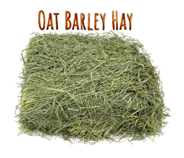 Oat Barley Hay