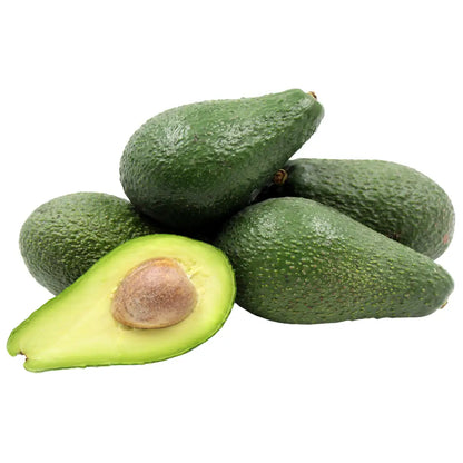 Pinkerton Avocado Tree 36 Gallon