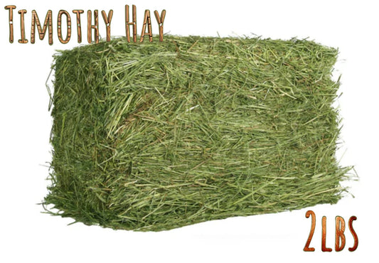 Timothy Hay for Rabbits & Small Pets 2 lbs