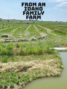Alfalfa Hay for Rabbits & Small Pets 5 lbs